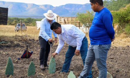 Arranca proyecto de Nopal Forrajero en Mezquitic