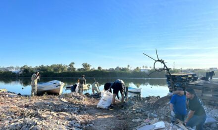 CUIDEMOS LOS MANGLARES AVANZA