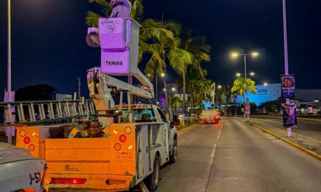 PODAN PALMERAS EN AV. MEDINA ASCENCIO PARA PREVENIR ACCIDENTES