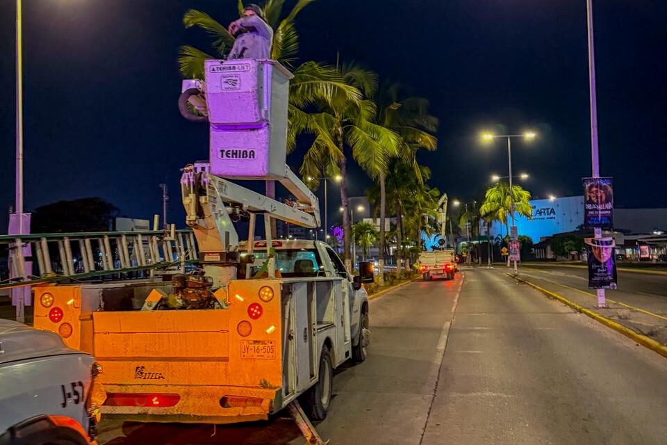 PODAN PALMERAS EN AV. MEDINA ASCENCIO PARA PREVENIR ACCIDENTES