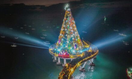 VIGILANCIA EN ENCENDIDO DEL ÁRBOL