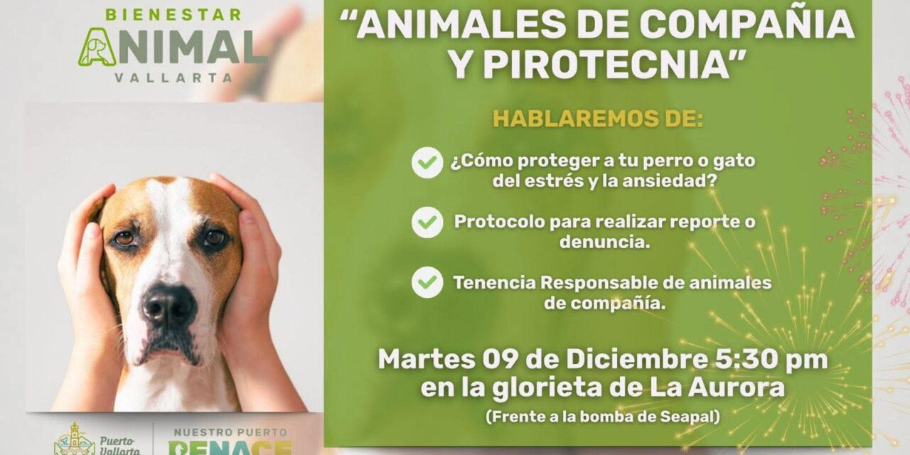 Gobierno del Bien enseñará cómo proteger a los animales ante la pirotecnia