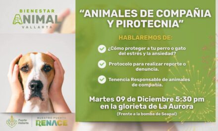 Gobierno del Bien enseñará cómo proteger a los animales ante la pirotecnia