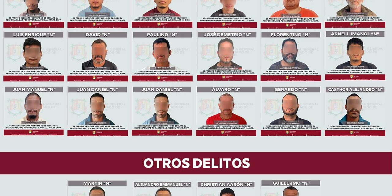 359 ÓRDENES DE APREHENSIÓN EN DEFENSA DE MUJERES