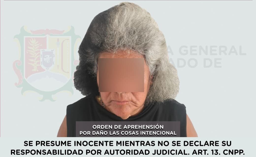 📢 #Boletín | DETENIDA EN COMPOSTELA POR DAÑO A LAS COSAS INTENCIONAL