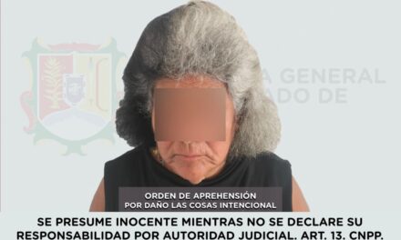 📢 #Boletín | DETENIDA EN COMPOSTELA POR DAÑO A LAS COSAS INTENCIONAL