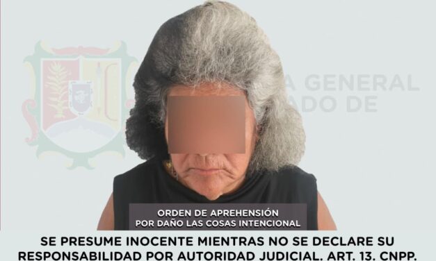 📢 #Boletín | DETENIDA EN COMPOSTELA POR DAÑO A LAS COSAS INTENCIONAL