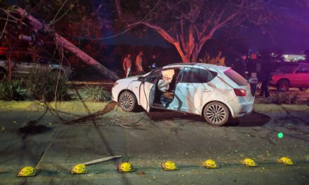 Atienden Bomberos Estatales hecho de tránsito en Tepic