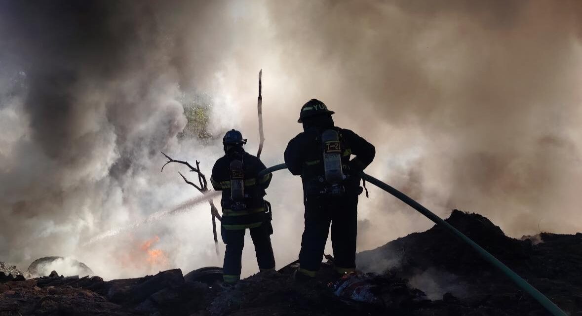 Puerto Vallarta atiende reporte de incendio en pastizal