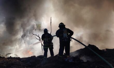 Puerto Vallarta atiende reporte de incendio en pastizal