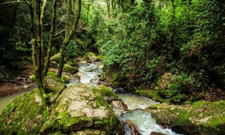 MAZAMITLA, PUEBLO MÁGICO DE JALISCO