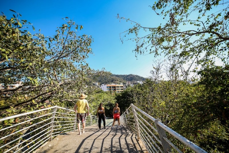 PUERTO VALLARTA, RIQUEZA NATURAL EN ESTAS FIESTAS