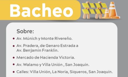 BRIGADAS DE BACHEO ACTIVAS HOY EN LA CIUDAD