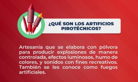 EVITA EL USO DE PIROTECNIA