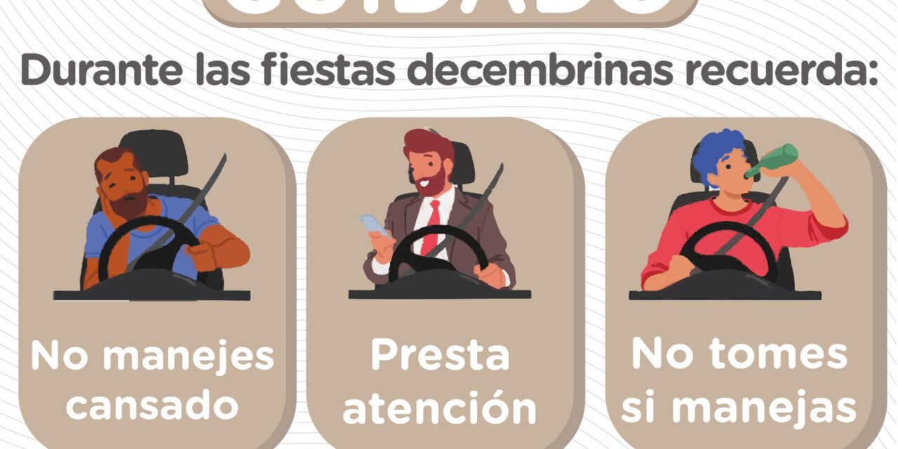 SEGURIDAD VIAL EN FIESTAS DECEMBRINAS