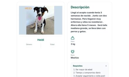 ¡ADOPTA UN AMIGO EN LÍNEA!