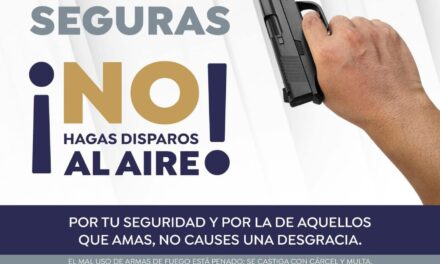 LLAMADO PARA EVITAR DISPAROS AL AIRE