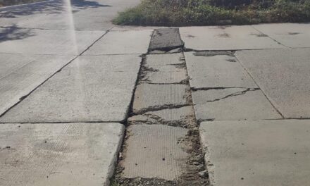 REPARACIÓN DE BACHES MEJORA LA VIALIDAD EN REAL DEL VALLE