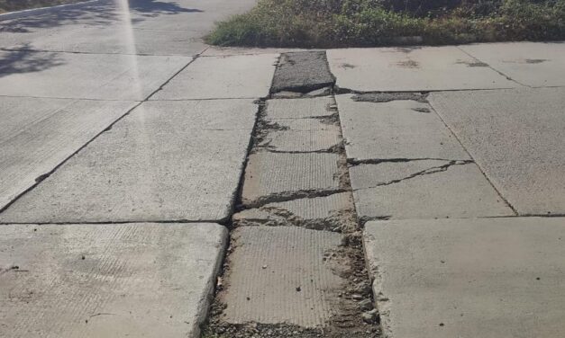 REPARACIÓN DE BACHES MEJORA LA VIALIDAD EN REAL DEL VALLE