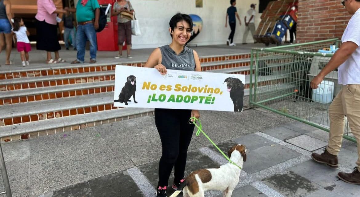 ¡Adopta y cambia una vida! Jornada de adopción animal en el Parque Lázaro Cárdenas