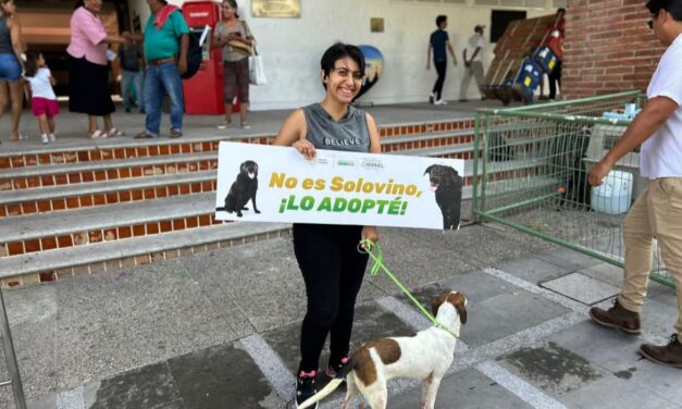 ¡Adopta y cambia una vida! Jornada de adopción animal en el Parque Lázaro Cárdenas