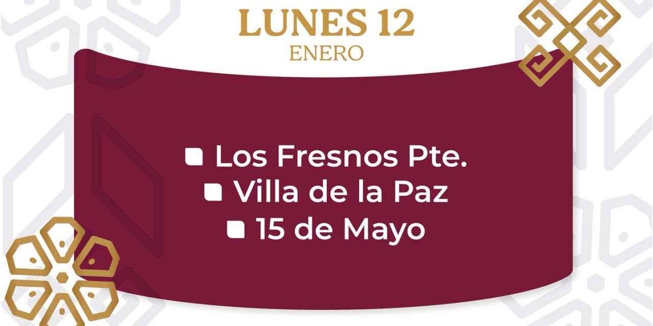 ¡Arrancamos el año con descacharrización!