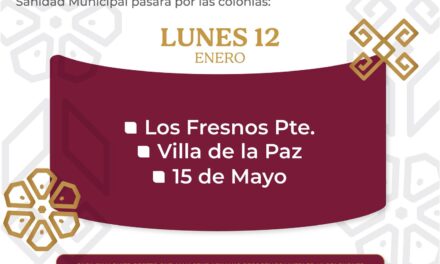 ¡Arrancamos el año con descacharrización!