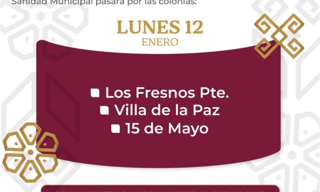 ¡Arrancamos el año con descacharrización!