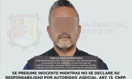 VINCULADO A PROCESO NOTARIO PÚBLICO LUIS MIGUEL “N”