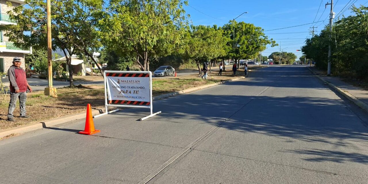 MANTENIMIENTO Y PODA REALIZADOS EN AVENIDA FRANCISCO MADERO