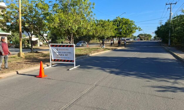 MANTENIMIENTO Y PODA REALIZADOS EN AVENIDA FRANCISCO MADERO