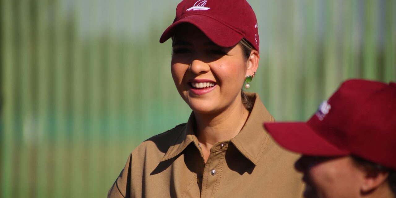 SUPERVISAN REENCARPETADO EN AVENIDA INSURGENTES