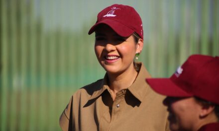 SUPERVISAN REENCARPETADO EN AVENIDA INSURGENTES