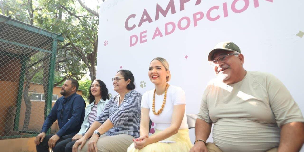 MAZATLÁN AVANZA EN BIENESTAR ANIMAL Y CUIDADO AMBIENTAL