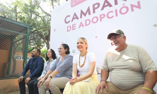 MAZATLÁN AVANZA EN BIENESTAR ANIMAL Y CUIDADO AMBIENTAL