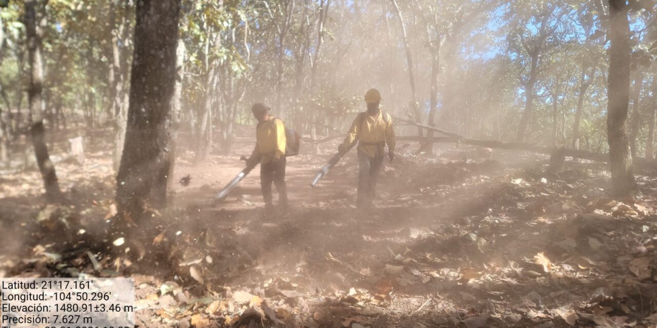 REFUERZAN PREVENCIÓN DE INCENDIOS EN EL CERRO