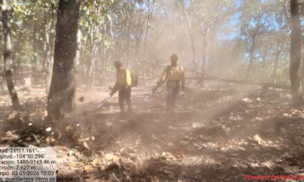 REFUERZAN PREVENCIÓN DE INCENDIOS EN EL CERRO