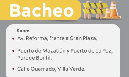 BRIGADAS DE BACHEO EN OPERACIÓN ESTE LUNES