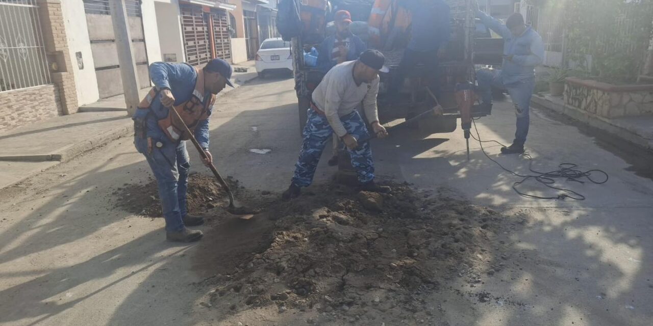 CONCLUYEN TRABAJOS DE BACHEO EN CALLE ROBLES