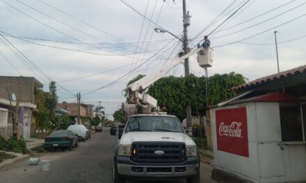 REACTIVAN ALUMBRADO EN CALLES DE XALISCO