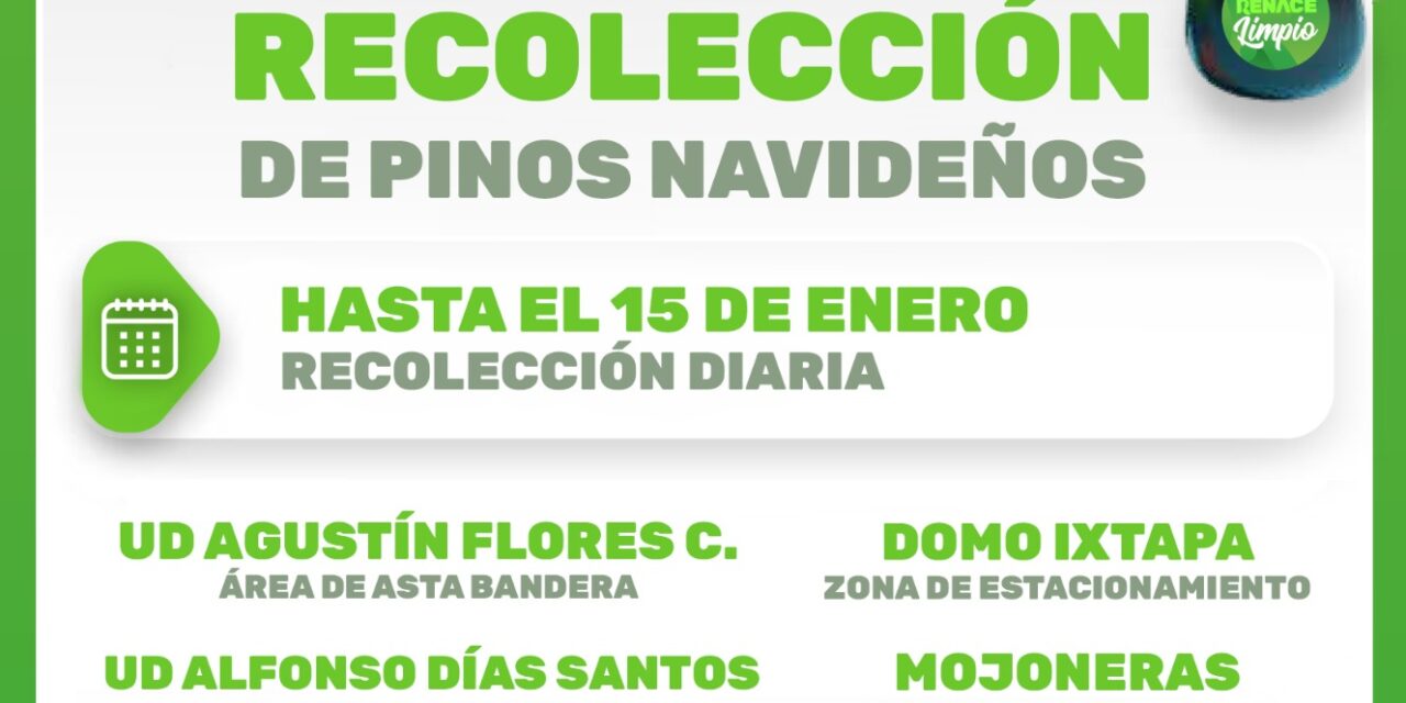 HABILITAN CENTROS DE ACOPIO PARA PINOS NAVIDEÑOS EN PUERTO VALLARTA