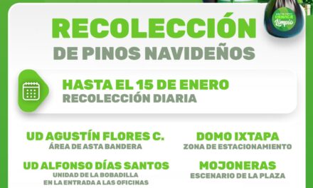 HABILITAN CENTROS DE ACOPIO PARA PINOS NAVIDEÑOS EN PUERTO VALLARTA