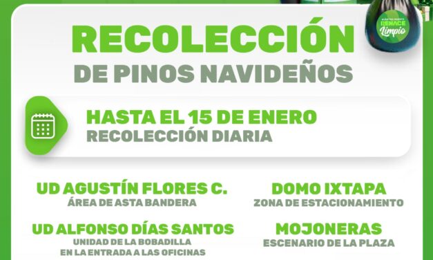 HABILITAN CENTROS DE ACOPIO PARA PINOS NAVIDEÑOS EN PUERTO VALLARTA