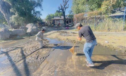 LIMPIEZA EN ESPACIOS PÚBLICOS DE XALISCO