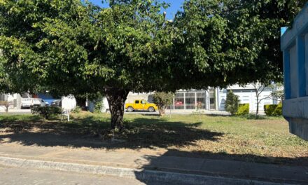 PODAS Y LIMPIEZA EN ESPACIOS PÚBLICOS