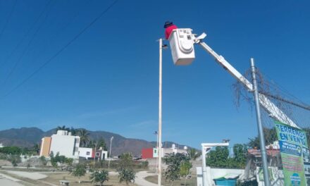 MANTENIMIENTO DE ALUMBRADO EN PARQUE XALISCA