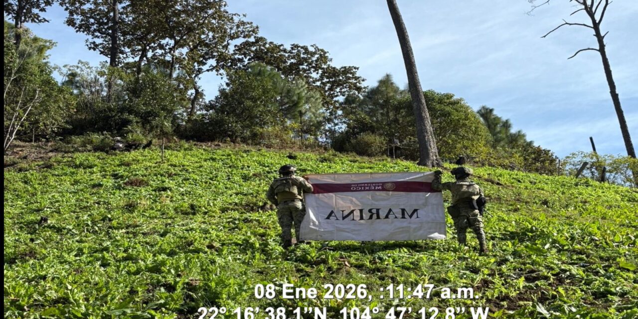 La Mesa de Construcción de Paz y Seguridad, da resultados positivos