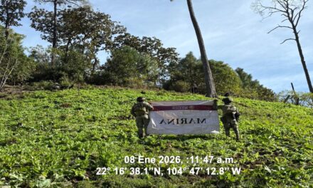 La Mesa de Construcción de Paz y Seguridad, da resultados positivos