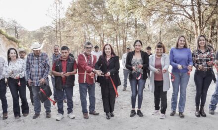 Entregan obra de empedrado en el camino a El Malinal