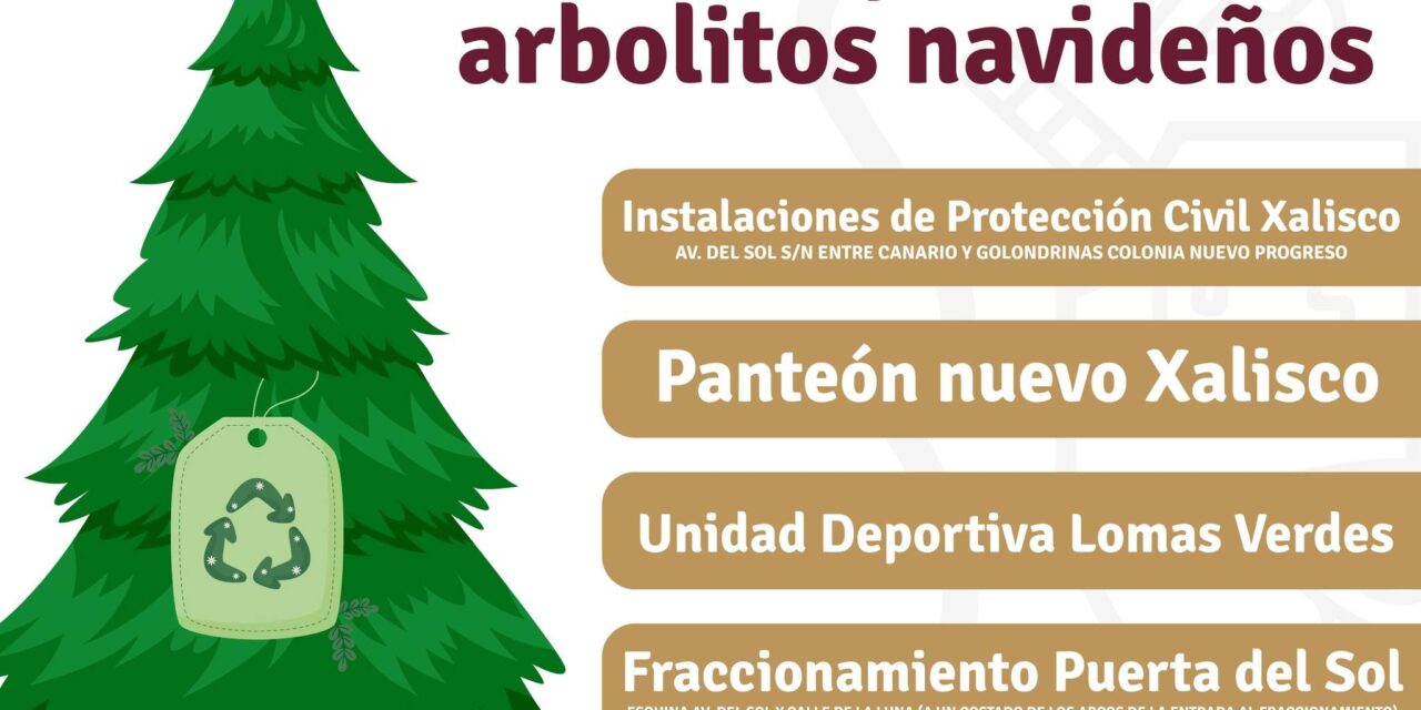 CENTROS DE ACOPIO PARA ÁRBOLES NAVIDEÑOS